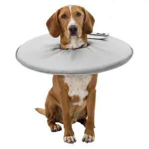 Comparateur de prix : Trixie Trixie Collier De Protection Pour Animaux De Compagnie Xs 13 Cm