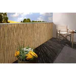 Floraworld Rouleau cloture Roseau 180 x 600 cm comfort plus pas cher