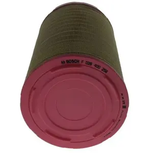 BOSCH Filtre à air (Ref: F 026 400 256) pas cher