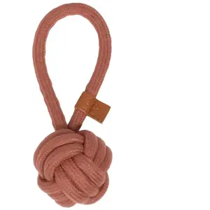 Balle pour chien avec boucle D&D Home Harper Rose 18,5x6x6 cm 305/4800...