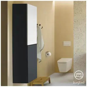 Burgbad Fiumo Colonne, 2 portes, HSLW035RF3958FOT2G0200, pas cher