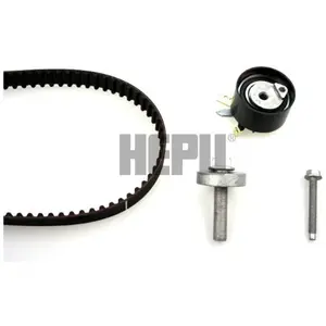 HEPU 20-1269-M14 Kit de distribution Nbr. dents: 123, avec vis/boulons pas cher