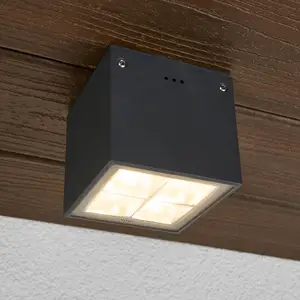 BEGA 66157K3 plafonnier graphite 3 000K 38°Vendu parluminaire