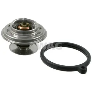Thermostat Mercedes-Benz Swag 10910262