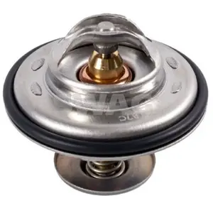 Thermostat Bmw Swag 20911444 pas cher