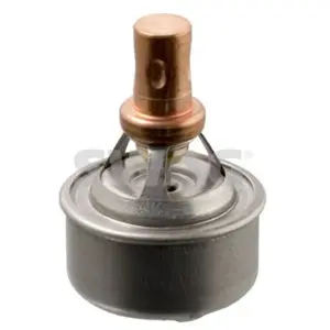 Comparateur de prix : Thermostat Renault Swag 60909328