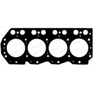 PAYEN Joint de culasse pour NISSAN: Trade, Terrano, Patrol, Cabstar (Ref: AC5770) pas cher