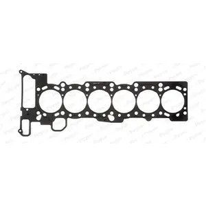 PAYEN Joint de culasse pour BMW: Série 7, Série 3, X5, X3, Série 5, Z3, Z4 (Ref: AC5900) pas cher