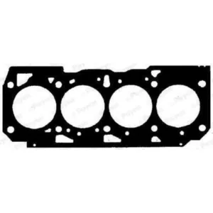 PAYEN Joint de culasse pour FIAT: Palio, Punto, Doblo, Strada (Ref: BZ791) pas cher