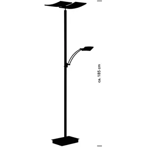 HELL Lampe sur pied LED Andy, à 3 lampes, anthracite, CCT, variateur d...Vendu parluminaire