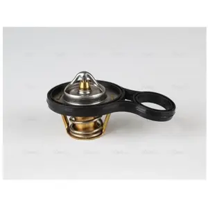 Comparateur de prix : AVA Deutschland GmbH Thermostat d'eau pour MINI: MINI & CHRYSLER: Neon, Stratus, PT Cruiser, Voyager, Sebring & DODGE: NEON (Ref: AUTS001)