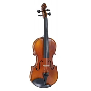 Comparateur de prix : Gewa Maestro 1 Violon 4/4
