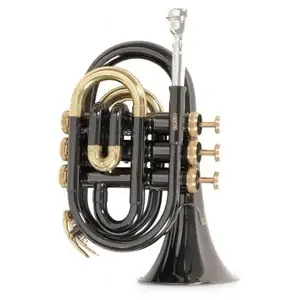 Comparateur de prix : Roy Benson Student Series Trompette de poche Sib PT-101K Laqué noir