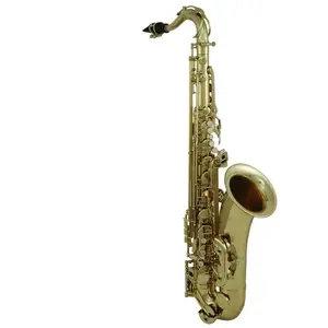 Roy Benson Student Pro Series Saxophone Soprano en Sib SS-101 pas cher