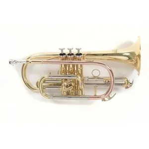 Comparateur de prix : Trompettes & cornets ROY BENSON CORNET SIb D'ETUDE ROY BENSON CR-202 Cornets étude Sib