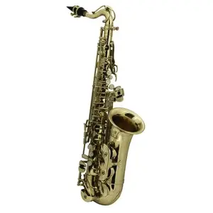Saxophones ROY BENSON AS-201 - POUR ENFANT (VERNI)  Saxophone Alto étude pas cher