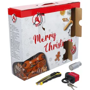 BGS Diy 95000 - Calendrier de l'avent de l'outil pas cher