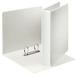 Esselte Leitz 49739 Classeur 2 anneaux avec pochettes Format A4 Dos 40 mm Plastique Blanc (Import Allemagne) pas cher