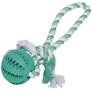 Comparateur de prix : Balle en caoutchouc avec corde pour chien Nobby Pet Dental Line Turquoise 7x30 cm 61218