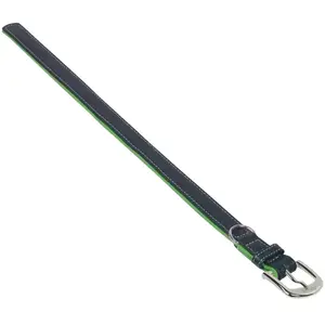 Collier pour chien Nobby Pet Pacific Vert XS/S 77921-35 pas cher