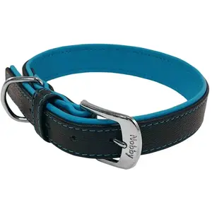 Comparateur de prix : Nobby Collier pour Pacific, 52 cm, Turquoise