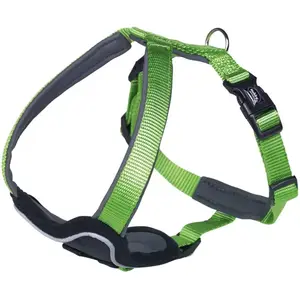 Comparateur de prix : Nobby Comfort Vaisselle Classique Preno Vert/Vert L 50-60 cm l 30 mm