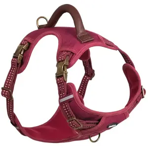 Comparateur de prix : Harnais pour chien Nobby Pet Sporty Rouge M (52/75 cm) 52055-01
