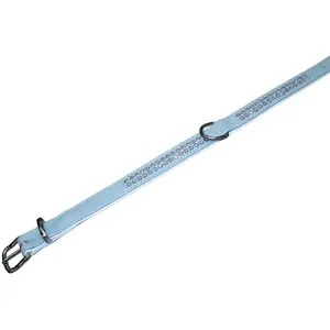 Comparateur de prix : Nobby Crystal Collier avec 2 Rangs pour Chien Blanc 42 cm x 17-19 mm