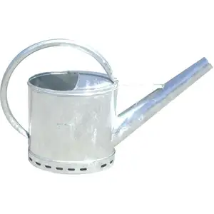GRÜN Arrosoir. 12 l Galv. m. ubergro. Ausguss pas cher
