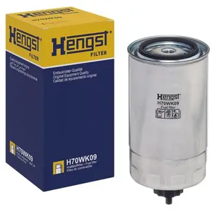 Hengst Filtre h70wk09 Système d'injection pas cher
