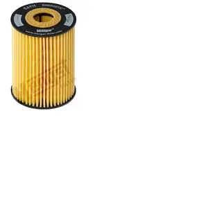 HENGST FILTER Blocs moteur E69H D81 pas cher