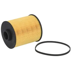 Comparateur de prix : Filtre à carburant HENGST FILTER, par ex. pour Mercedes-Benz