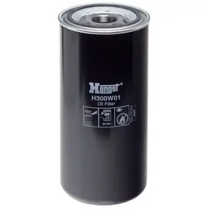 Hengst H300W01 Filtre à huile