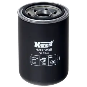 Comparateur de prix : Hengst H300W06 Filtre à huile