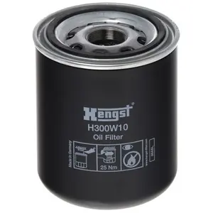 Hengst H300W10 Filtre, système hydraulique de travail pas cher
