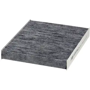 Filtre d'habitacle (filtre à pollen) HENGST FILTER E3919LC pas cher