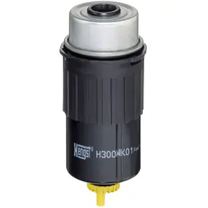Filtre à carburant HENGST H300WK01 pas cher