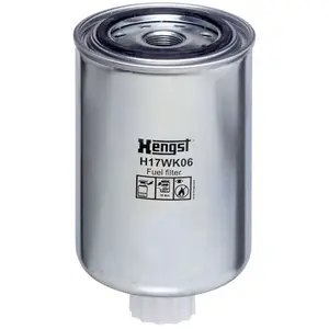 HENGST FILTER H17WK06 Système d'injection pas cher