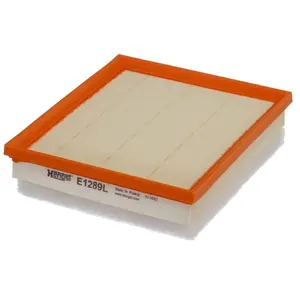 Filtre À Air Citroën; Ds; Opel; Peugeot; Toyota; Vauxhall Hengst Filte... pas cher