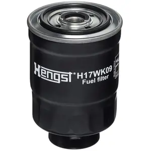 HENGST FILTER H17WK09 Filtre à Carburant pas cher