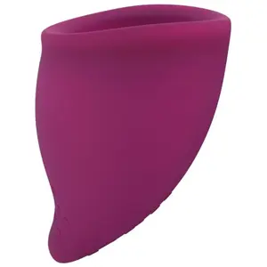 Comparateur de prix : Fun Factory FunCup Coupe Menstruelle Taille B Raisin 1ut