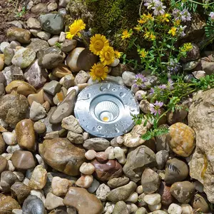 EVN Meerkat, rond, 60°, inox, 6W, 3.000 KVendu parluminaire