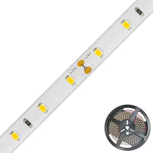 EVN STR2024 ruban LED IP20 5m 24W 2 700K pas cher