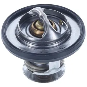 Thermostat (liquide de refroidissement) MOTORAD 416-95K pas cher