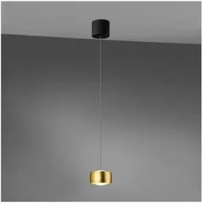 OLIGO GRACE Suspension LED Tunable White avec réglage de la hauteur invisible, G42-931-42-09,