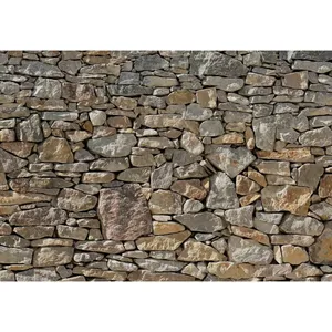 Comparateur de prix : Komar - Photo murale Stone Wall 368 x 254 cm 8-727 Brun