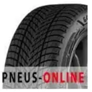 Goodyear UltraGrip Performance 3 225/35 R19 88W pas cher