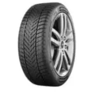 Dunlop Winter EV XL 205 55 19 V 97 Winter pas cher