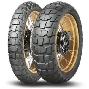 Dunlop Trailmax Raid 170/60 R17 72T pas cher