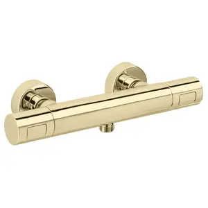 Herzbach LIVING Mitigeur thermostatique, pour douche, 30.131100.1.03, pas cher